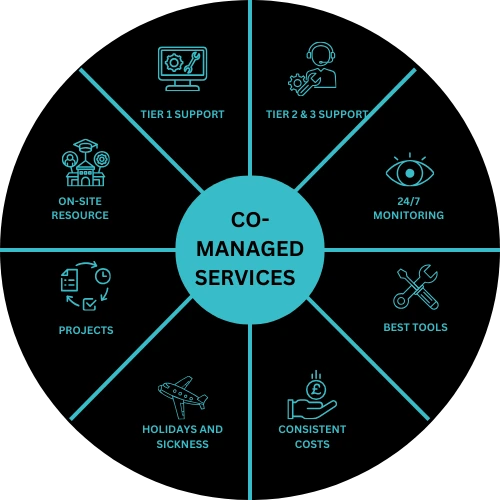 Co-Managed It services