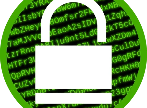 Data Breach: 8 Steps to Take